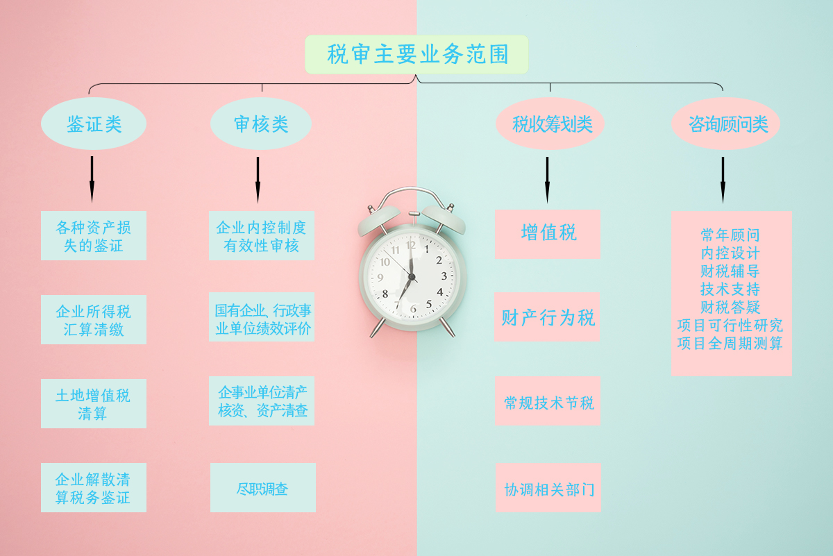 稅審主要業(yè)務(wù)范圍.jpg