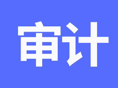 審計(jì).jpg